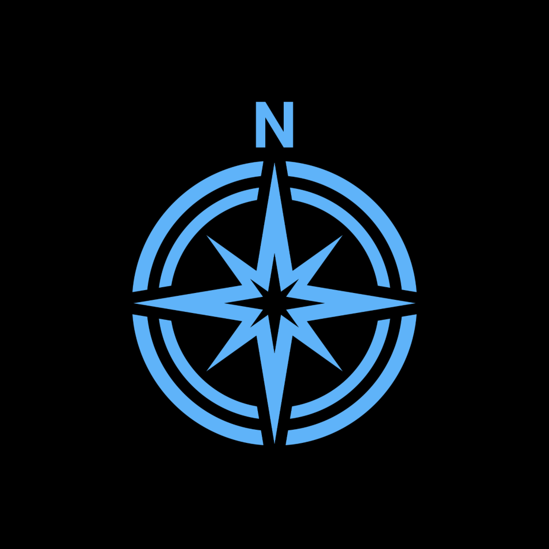 North Star True Innovations Logo